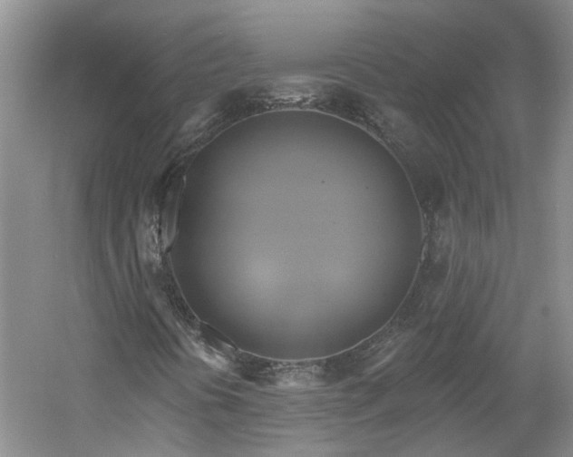 X0000061751394200512021459