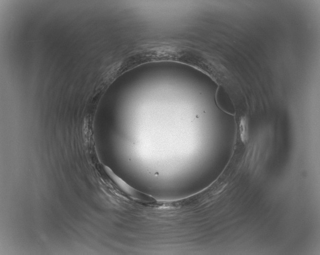 X0000061751395200512021459