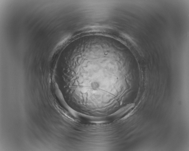 X0000061751403200512021459