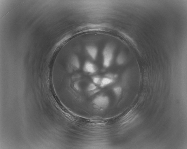 X0000061751411200512021459