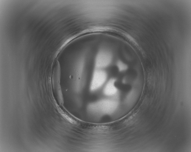 X0000061751417200512021459