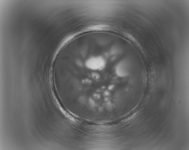 X0000061751421200512021459