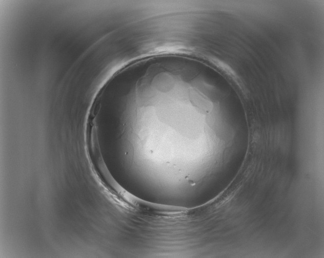 X0000061751423200512021459