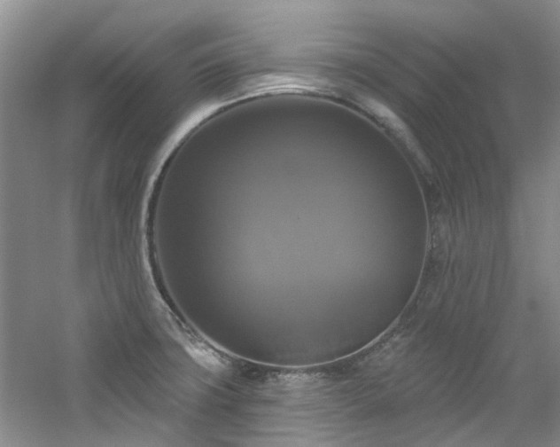 X0000061751427200512021459
