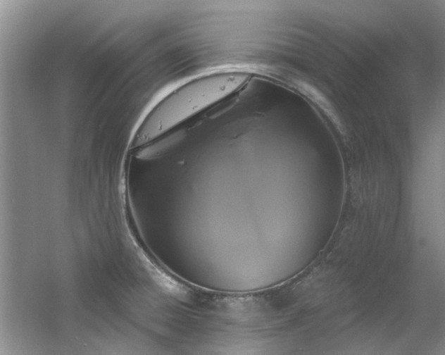 X0000061751428200512021459