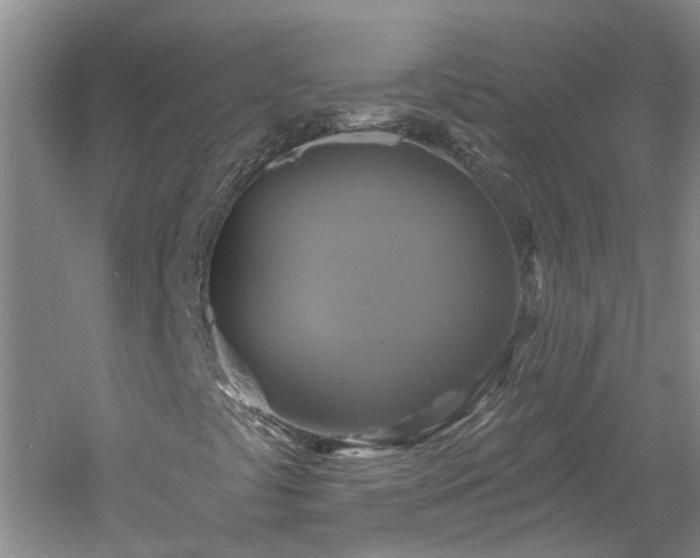 X0000061751441200512021459