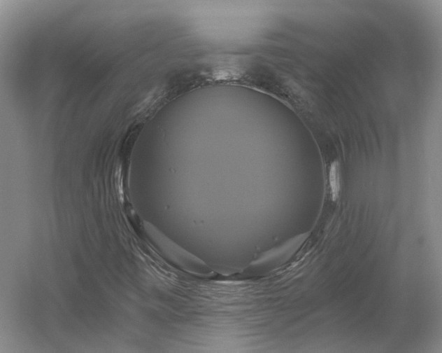 X0000061751443200512021459