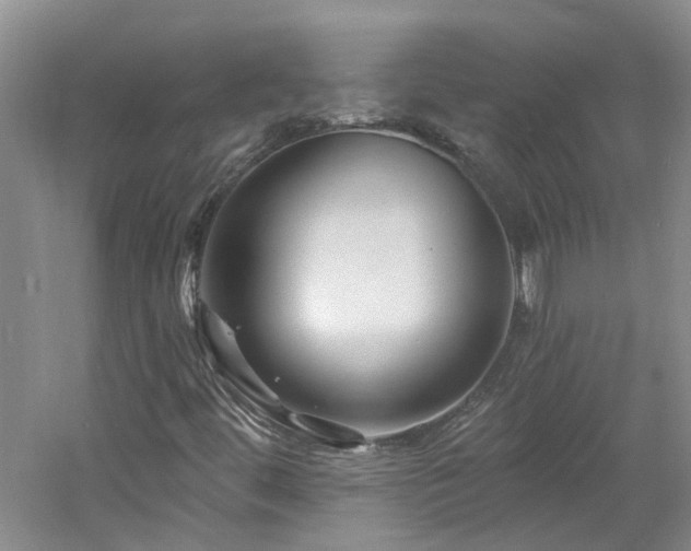 X0000061751444200512021459