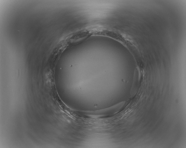 X0000061751445200512021459
