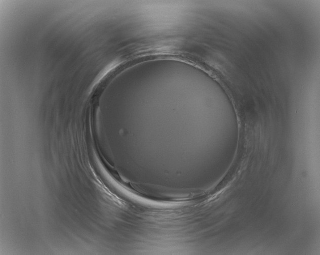 X0000061751450200512021459