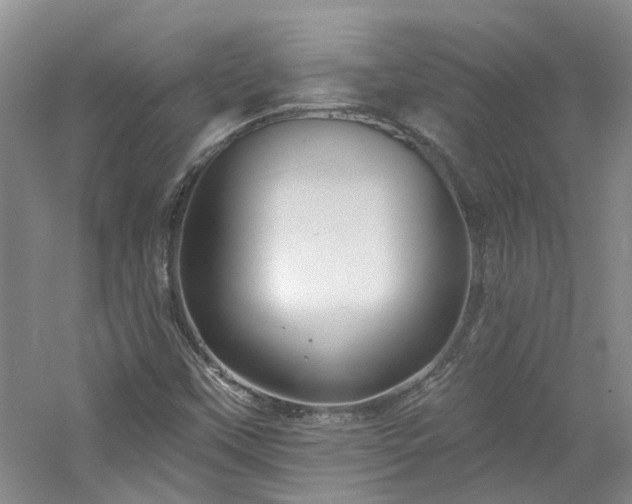 X0000061751451200512021458