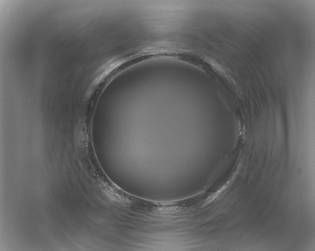 X0000061751453200512021458