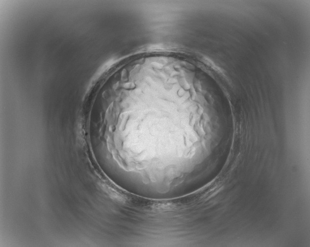 X0000061751454200512021458