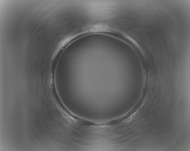X0000061751461200512021458
