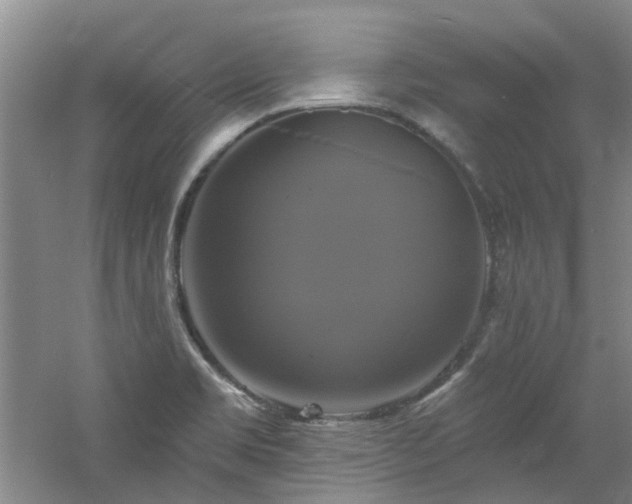 X0000061751469200512021458