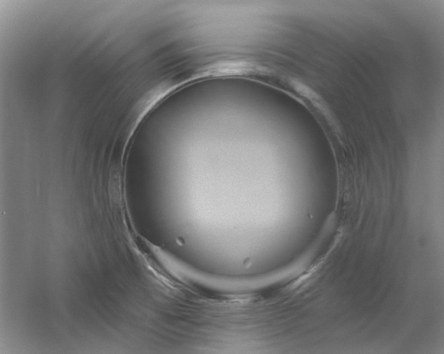 X0000061751473200512021458