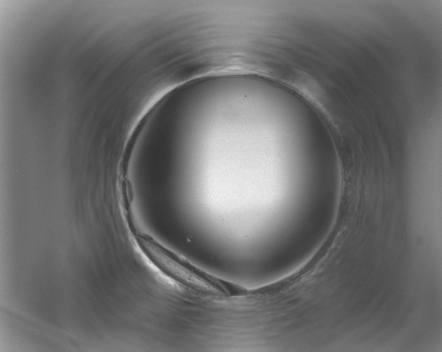 X0000061751476200512021458
