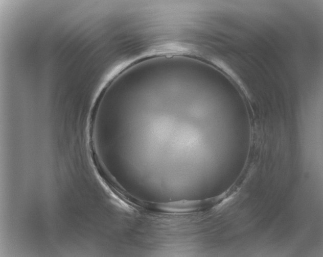 X0000061751477200512021458