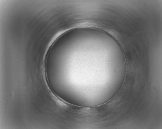 X0000061751478200512021458