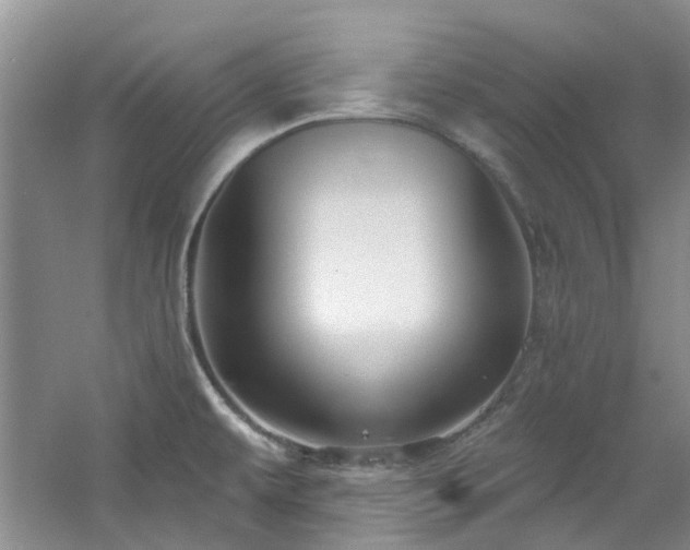X0000061751479200512021458
