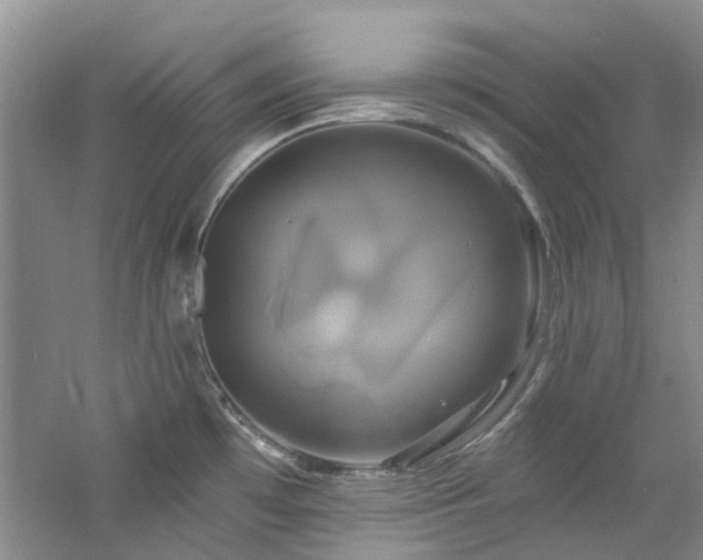 X0000061751481200512021458