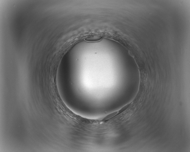 X0000061751489200512021457