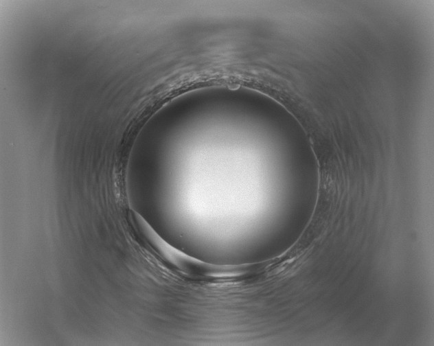 X0000061751490200512021457