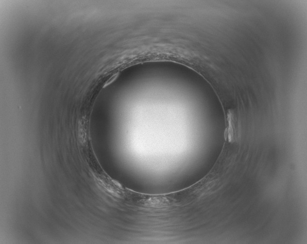 X0000061751491200512021457
