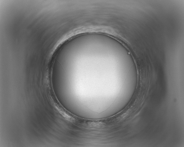 X0000061751498200512021457
