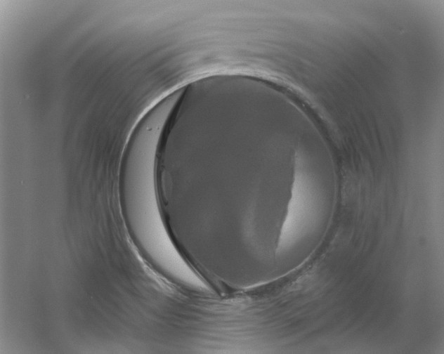 X0000061751513200512021457