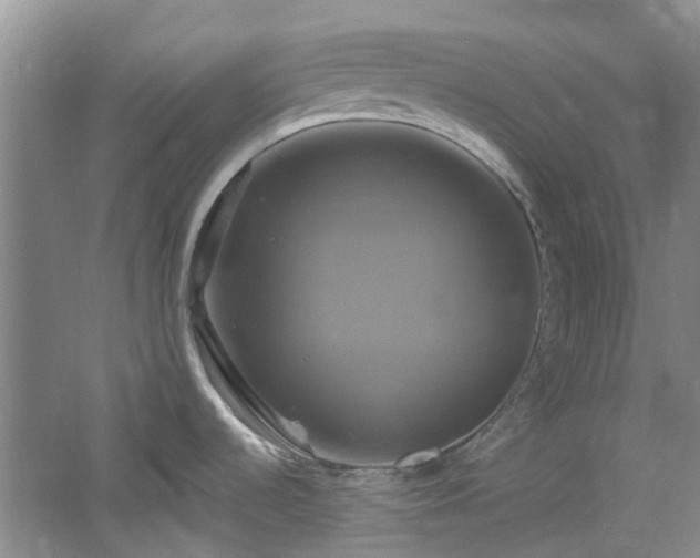 X0000061751536200512021458