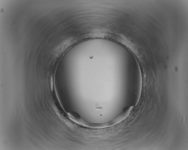 X0000061750013200512050919