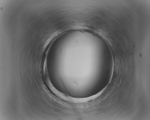 X0000061750015200512050919