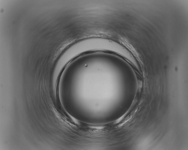 X0000061750058200512050918