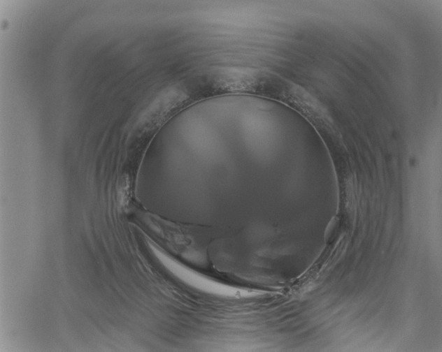 X0000061750073200512050918