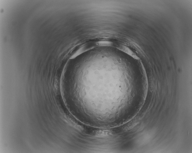 X0000061750077200512050918