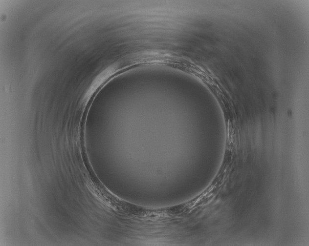 X0000061750099200512050918
