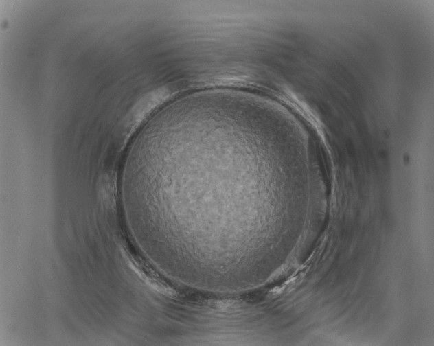X0000061750107200512050918