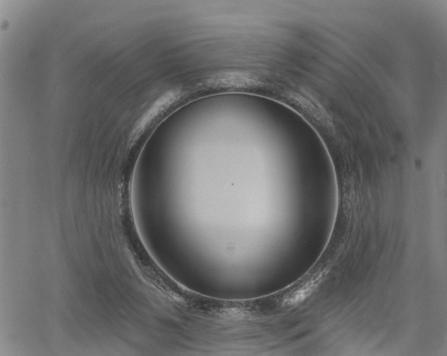 X0000061750111200512050918