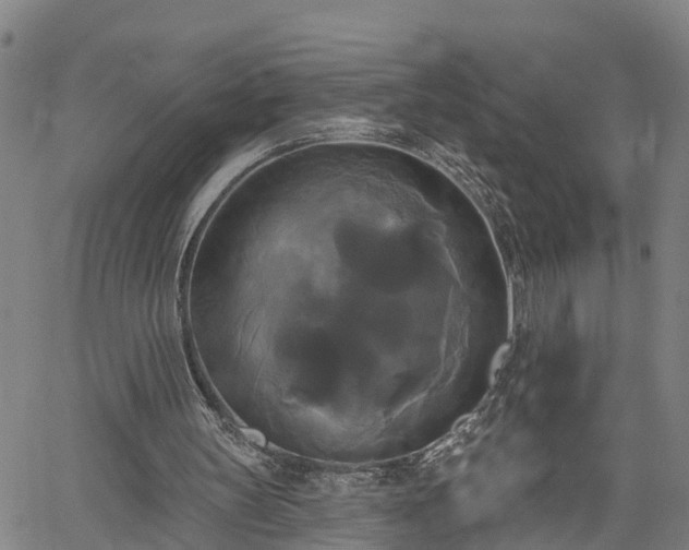 X0000061750147200512050916