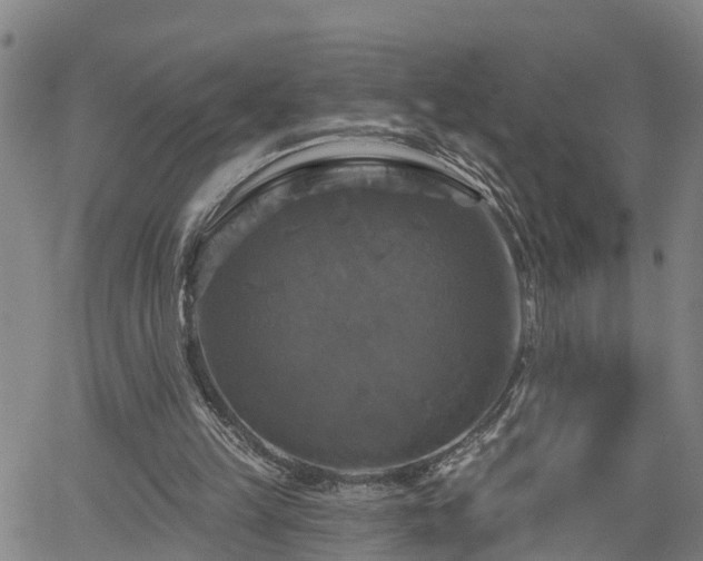 X0000061750149200512050917