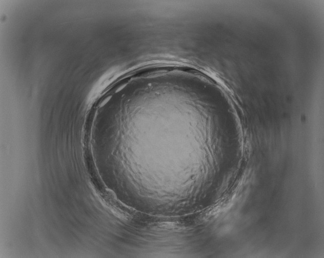 X0000061750151200512050917
