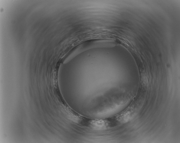 X0000061750181200512050917