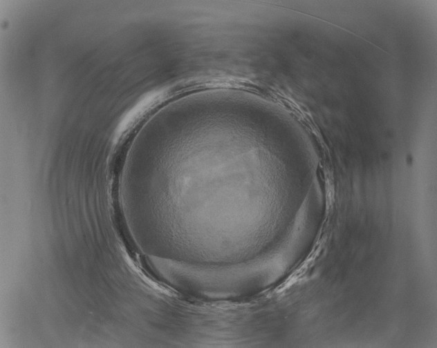 X0000061750197200512050916