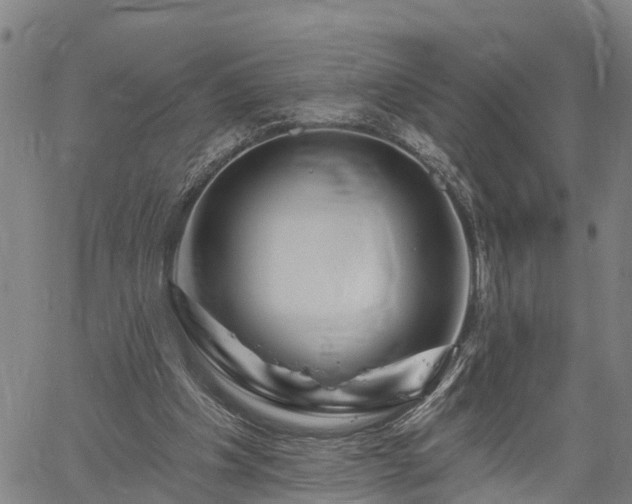 X0000061750201200512050916
