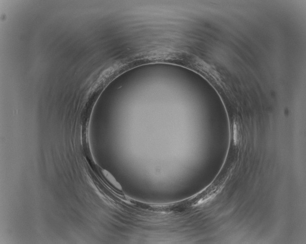 X0000061750205200512050916