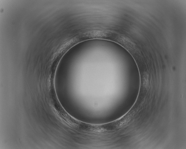 X0000061750206200512050916