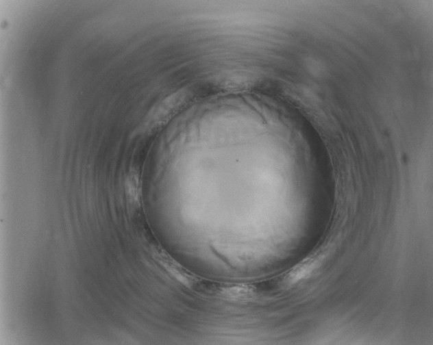 X0000061750240200512050916