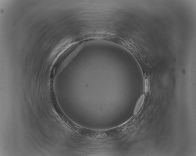 X0000061750243200512050915