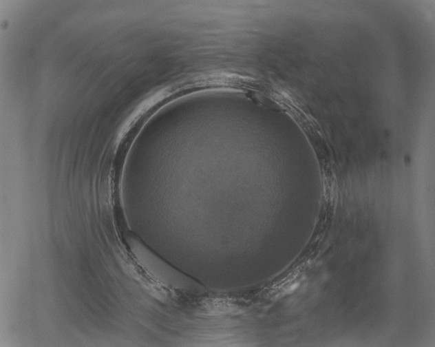 X0000061750244200512050915